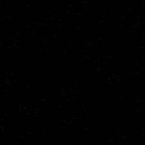 Meet your Posher, Jaylen